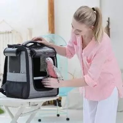 Раница за папагал 44